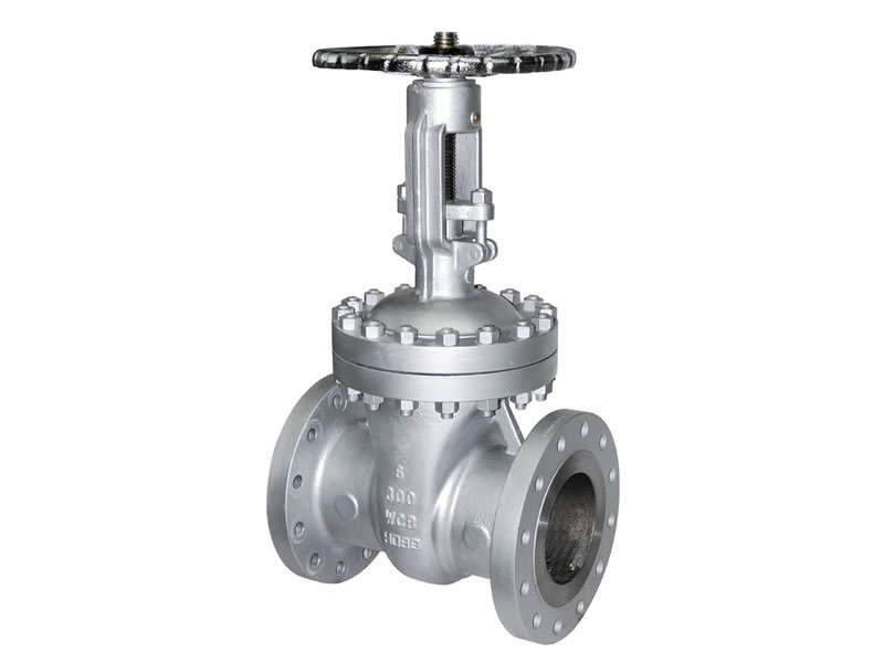 API600 Wedge Gate valve