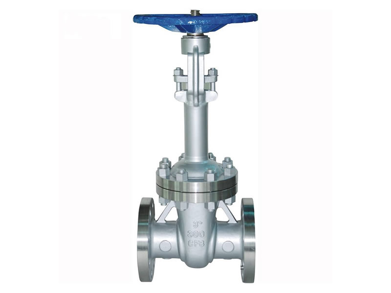 Cryogenic Gate Valve