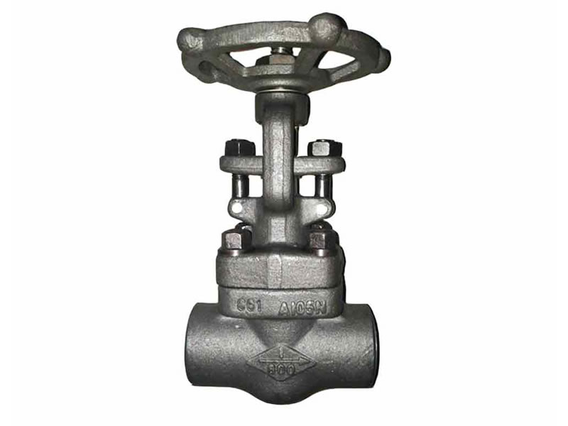 Forged Steel Gate Valve