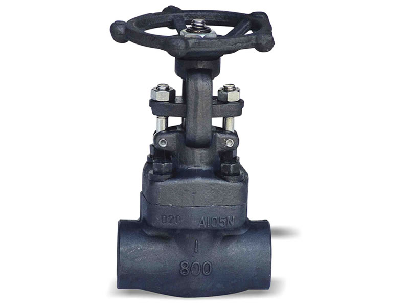 Forged Steel Globe Valve